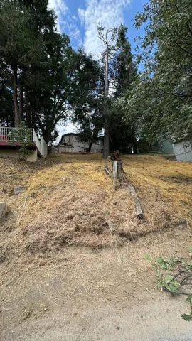 a view of yard with trees