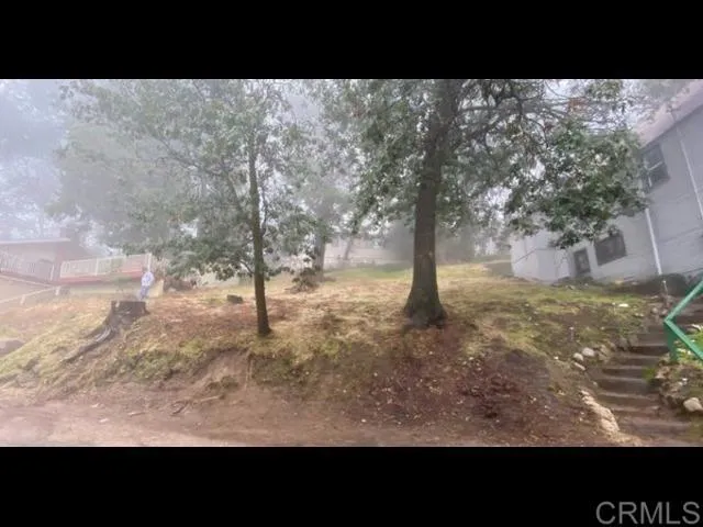 a view of a yard with an tree