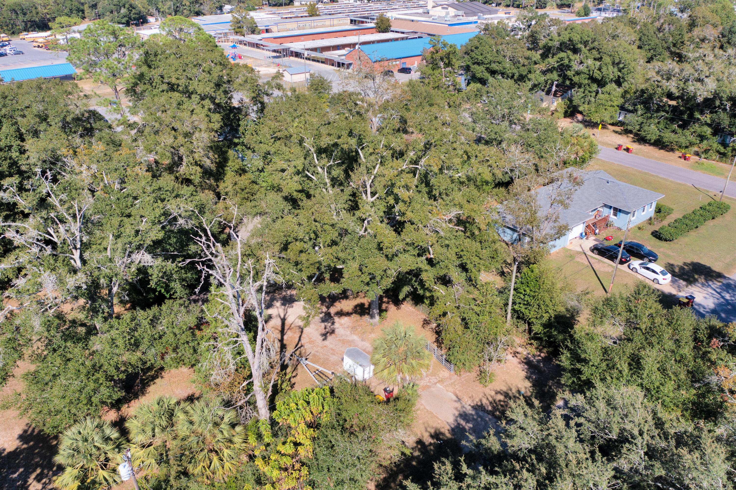 227 East 3rd Avenue Crestview, FL 32536 - Photo 21 of 26 an aerial view of a house with a yard and large trees