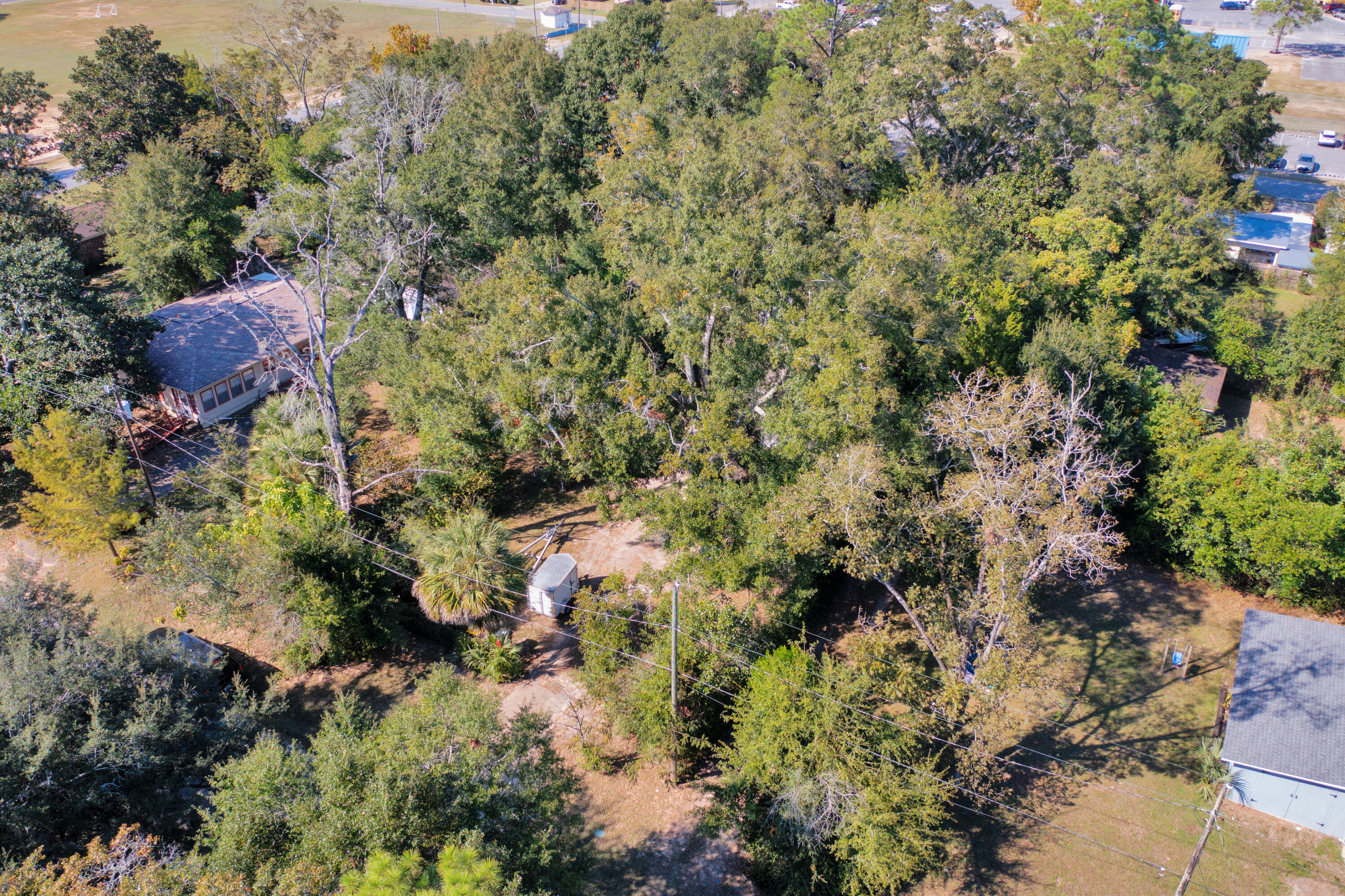227 East 3rd Avenue Crestview, FL 32536 - Photo 22 of 26 a view of a house with a tree