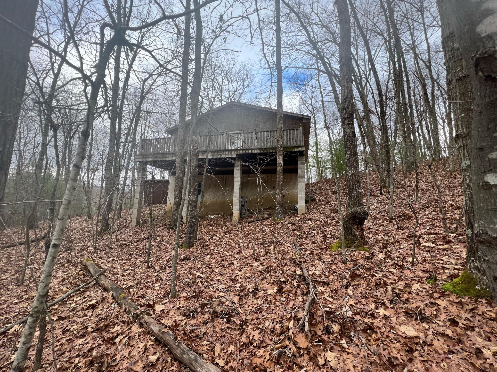 Wildcat Hill Road Gap Mills, WV 24941 - Photo 4 of 37 Gallery Image 4