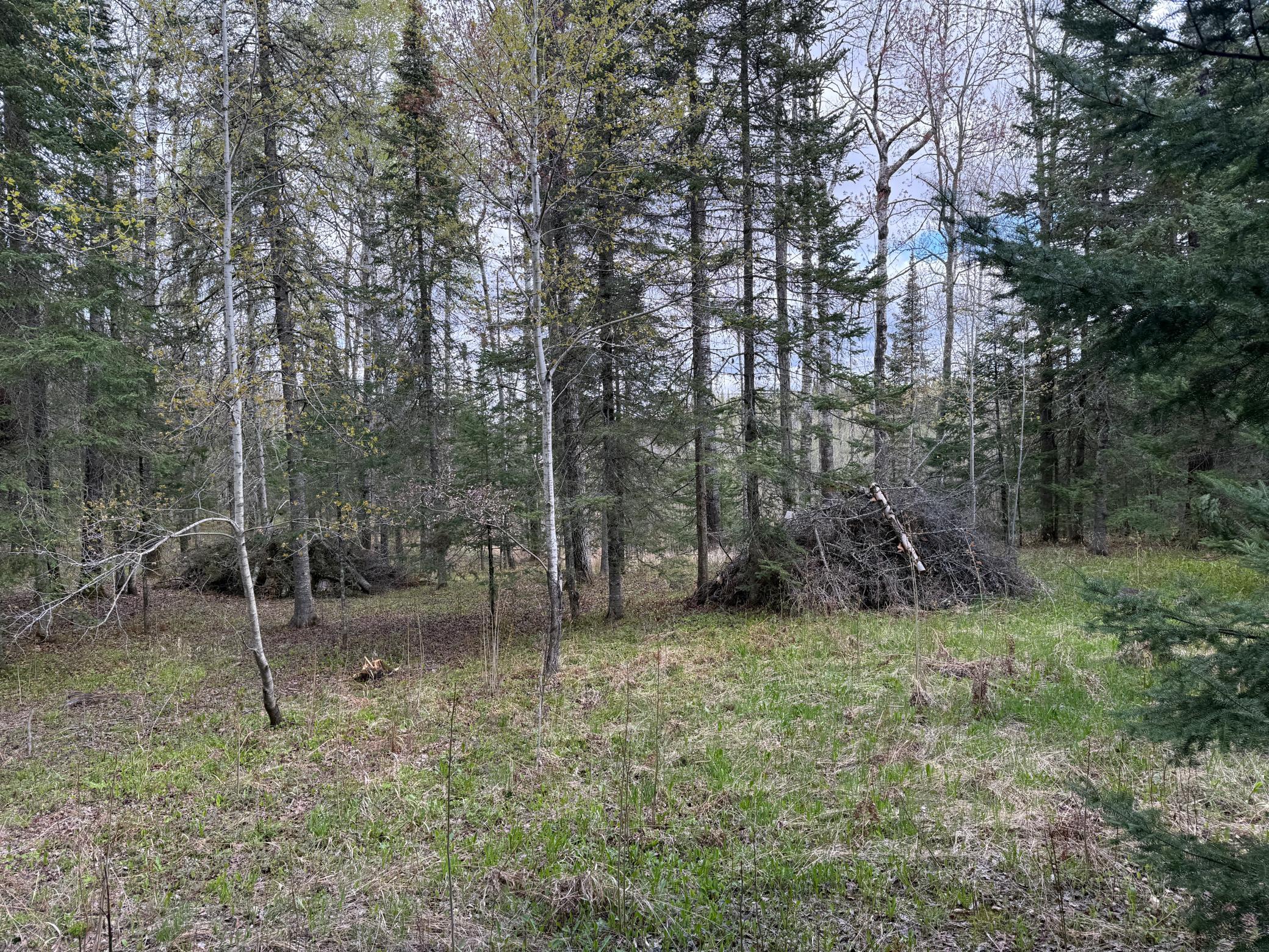 7355 West Melrude Road Cotton, MN 55724 - Photo 28 of 66
