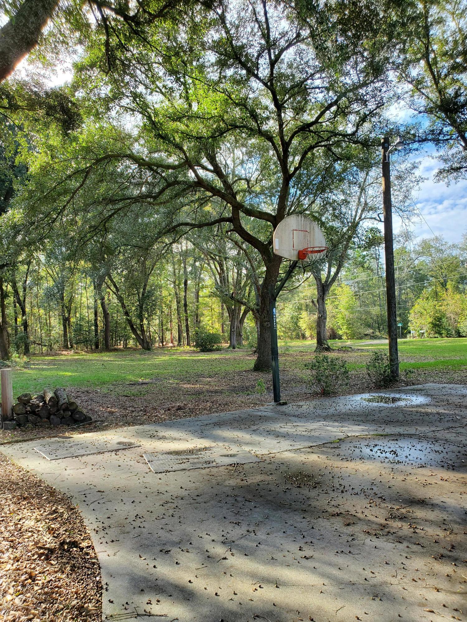 839 Winchester Road Walterboro, SC 29488 - Photo 57 of 88 20201101_145715