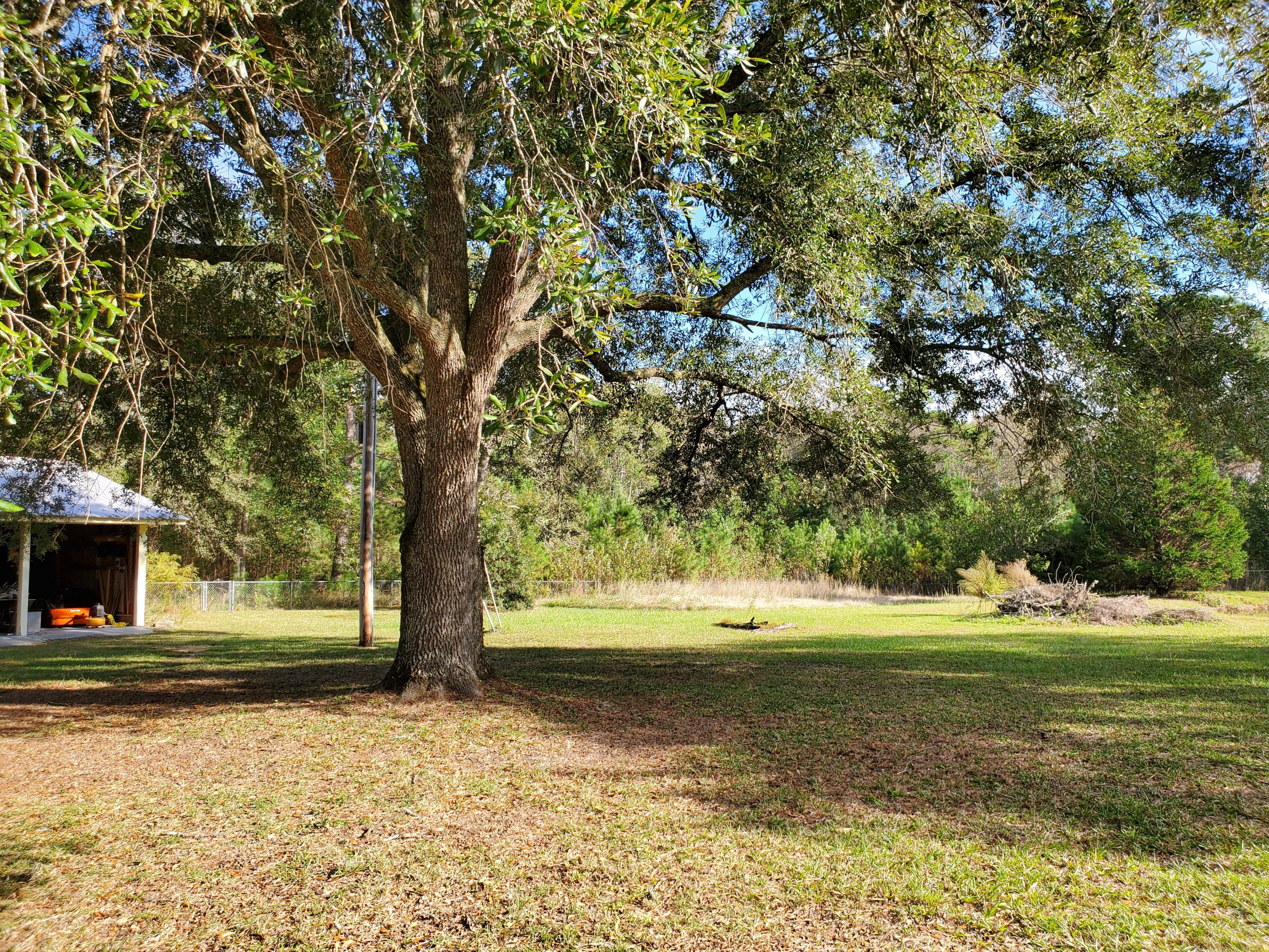 839 Winchester Road Walterboro, SC 29488 - Photo 69 of 88 20201101_145938