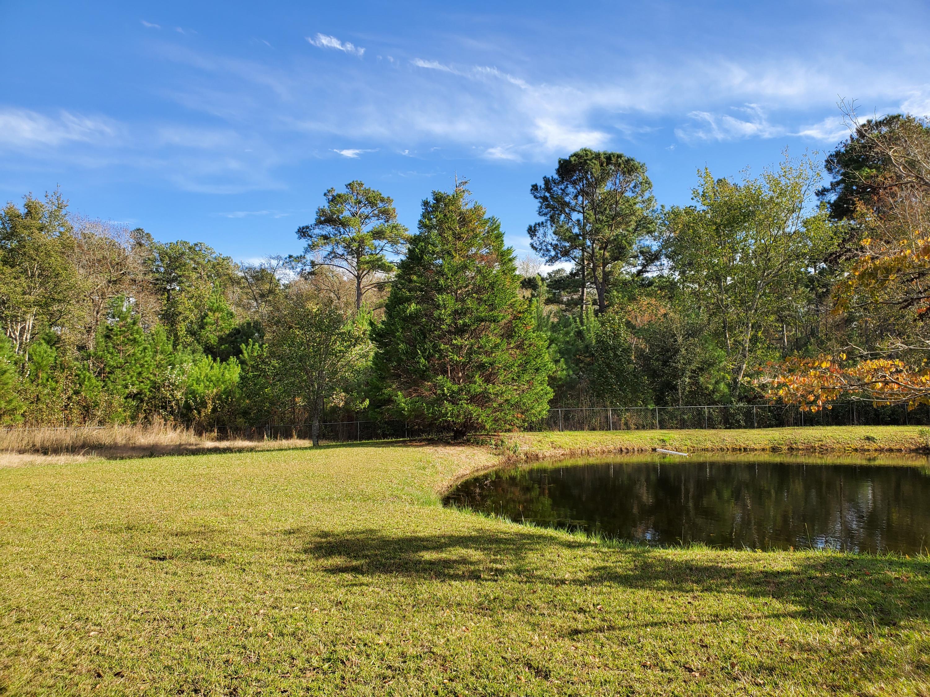 839 Winchester Road Walterboro, SC 29488 - Photo 74 of 88 20201101_150310