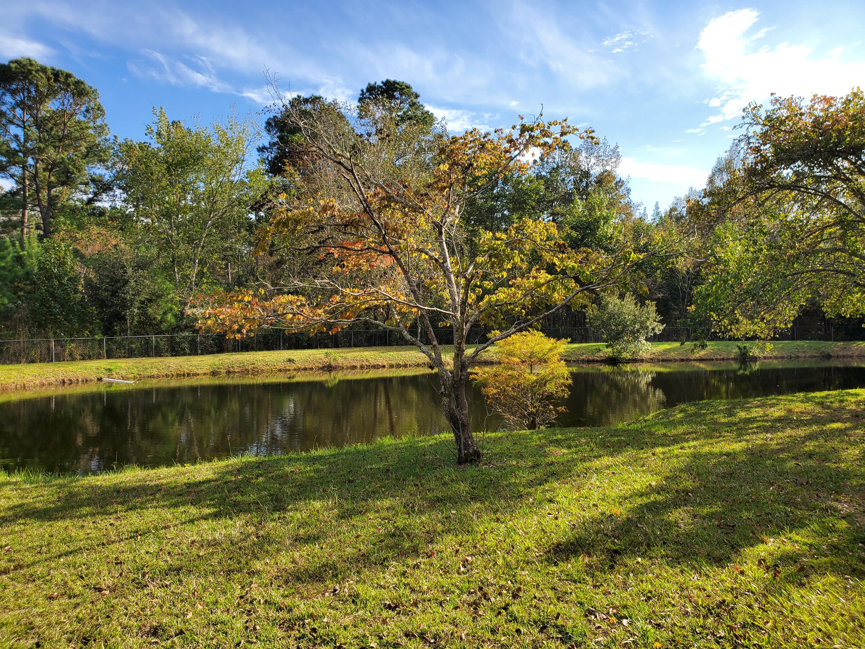 839 Winchester Road Walterboro, SC 29488 - Photo 75 of 88 20201101_150313