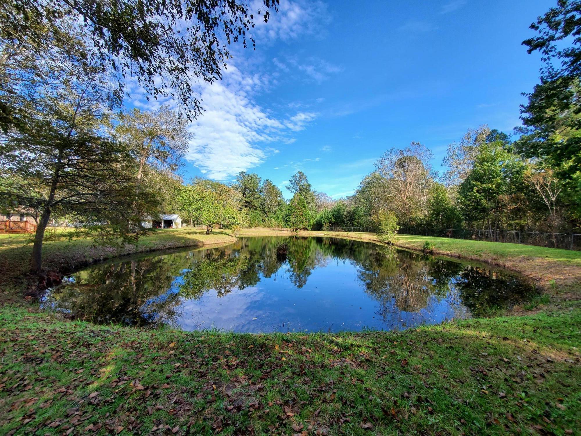 839 Winchester Road Walterboro, SC 29488 - Photo 76 of 88 20201101_150507