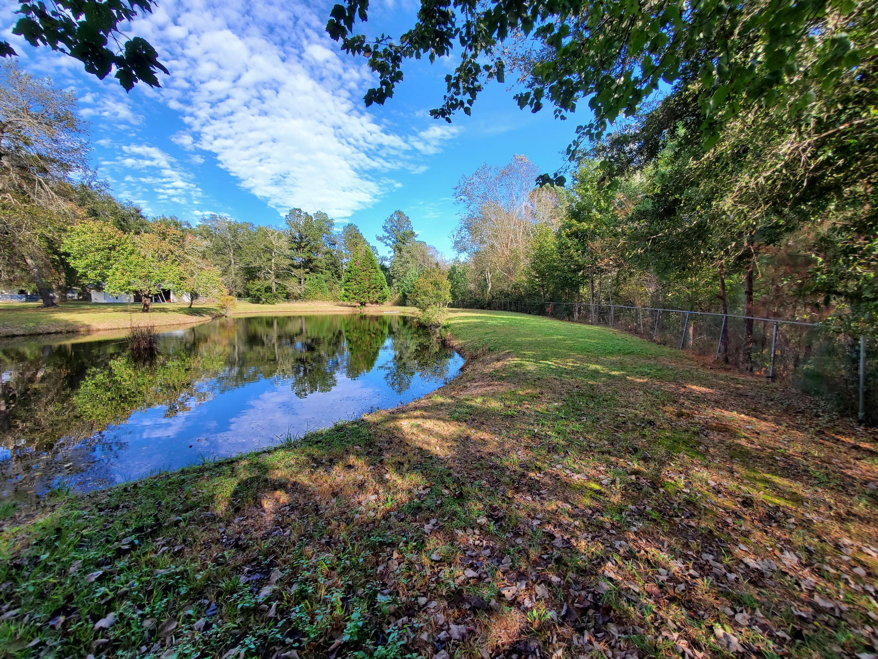 839 Winchester Road Walterboro, SC 29488 - Photo 78 of 88 20201101_150526
