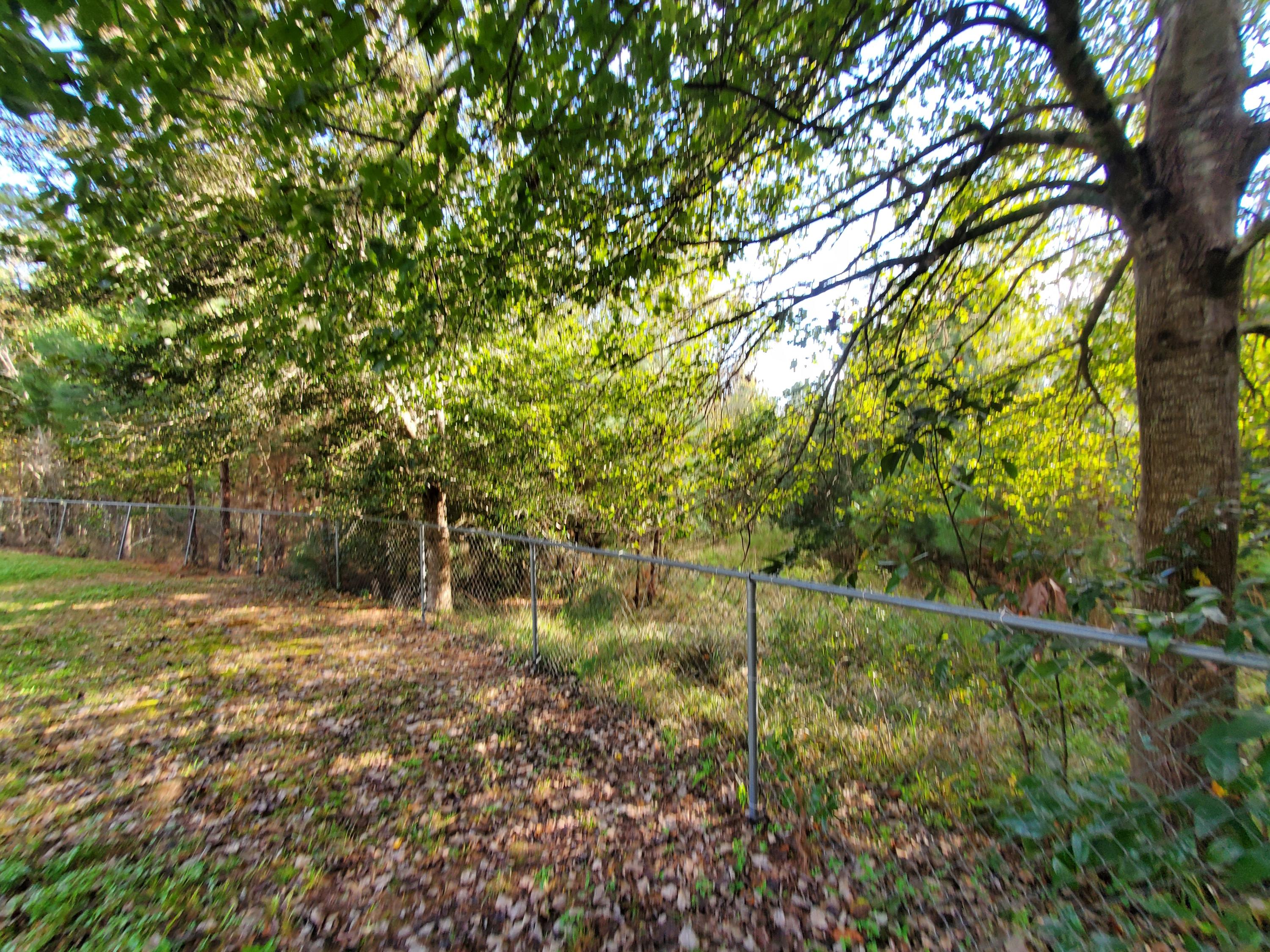 839 Winchester Road Walterboro, SC 29488 - Photo 79 of 88 20201101_150557