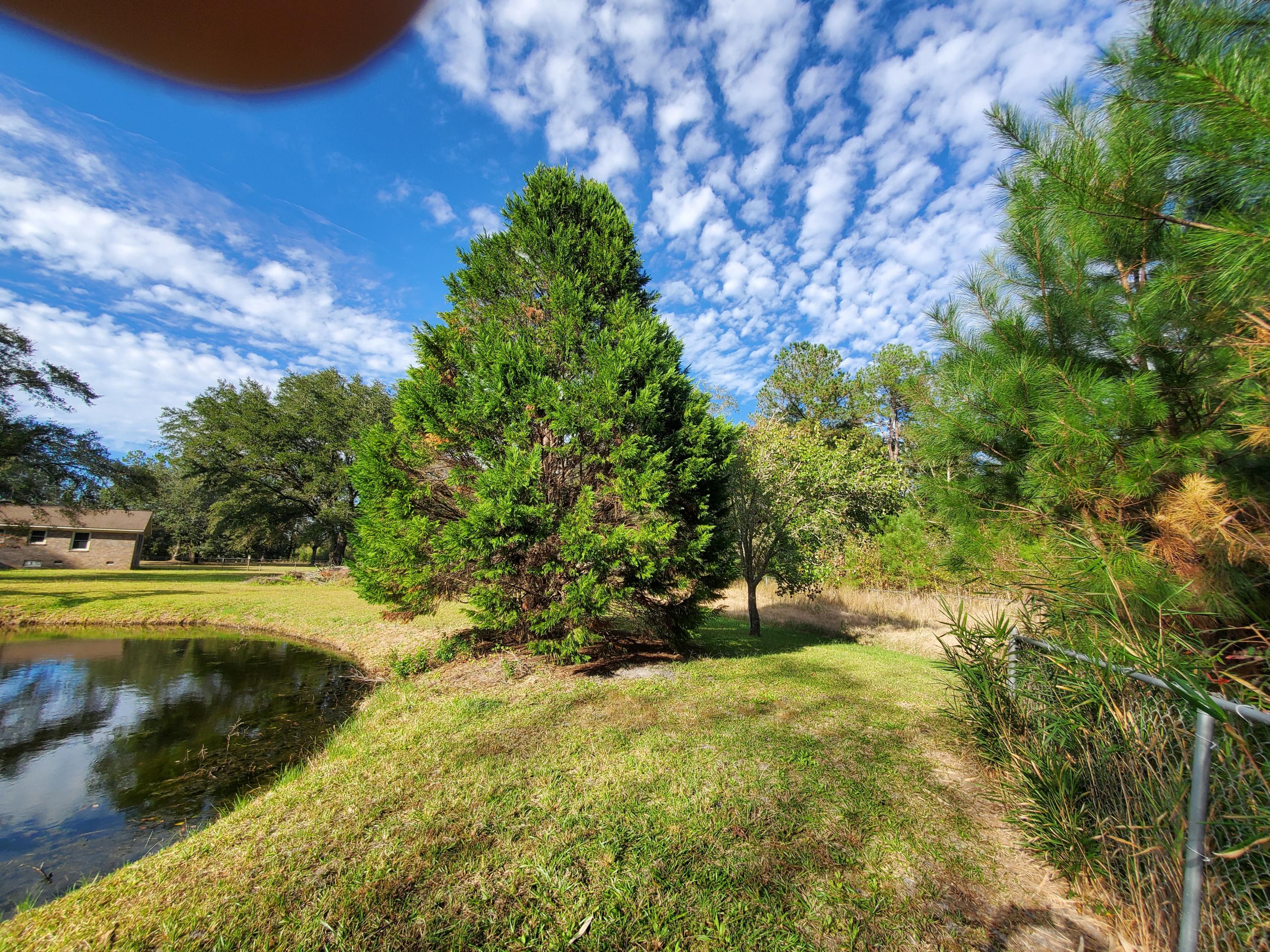 839 Winchester Road Walterboro, SC 29488 - Photo 81 of 88 20201101_150705