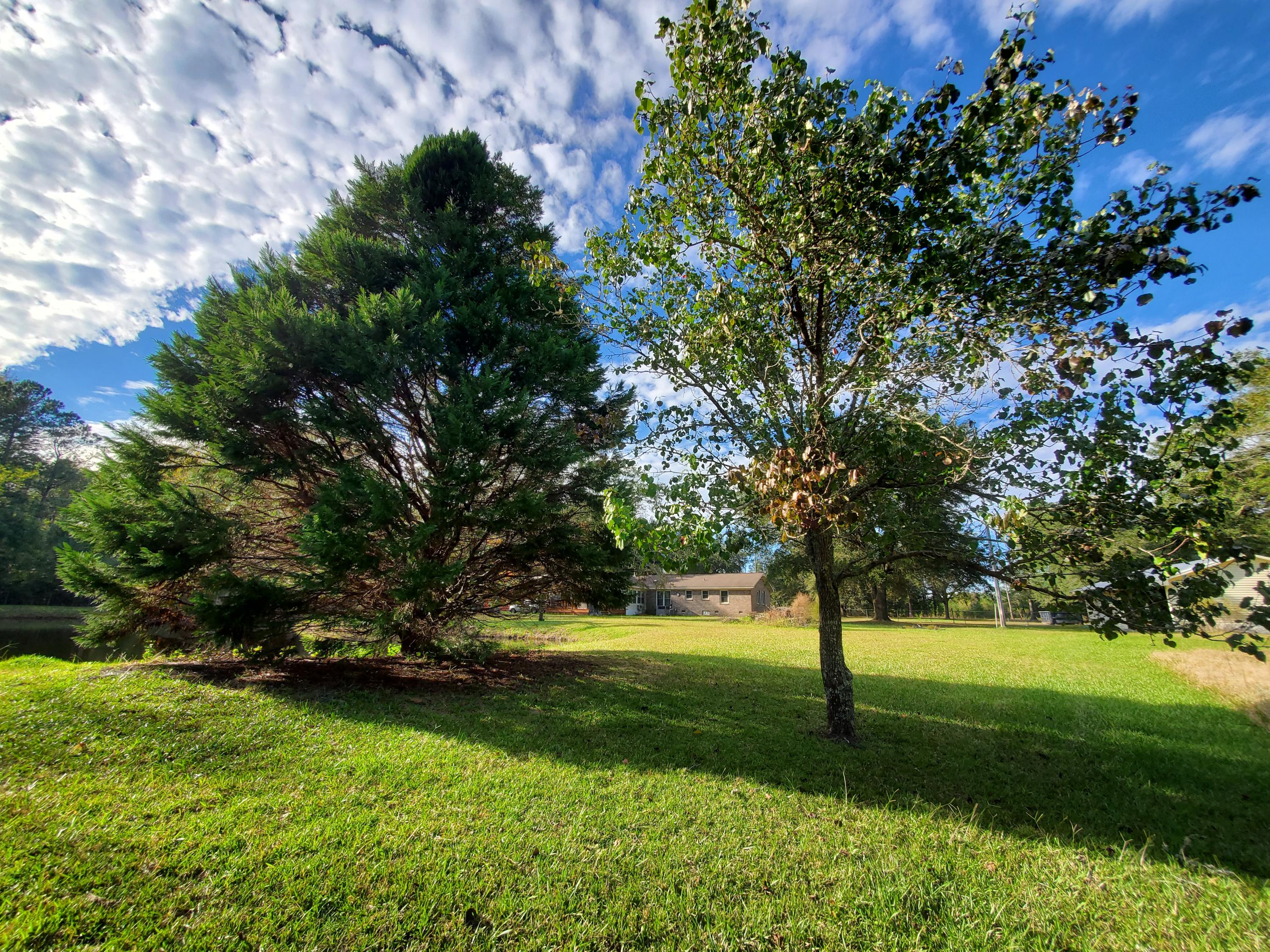 839 Winchester Road Walterboro, SC 29488 - Photo 83 of 88 20201101_150735