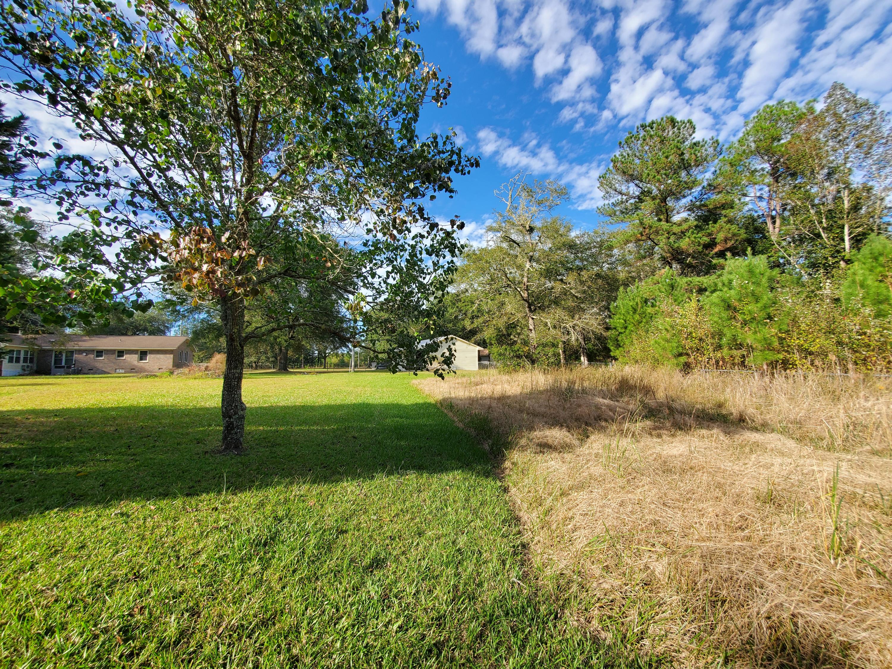 839 Winchester Road Walterboro, SC 29488 - Photo 84 of 88 20201101_150741