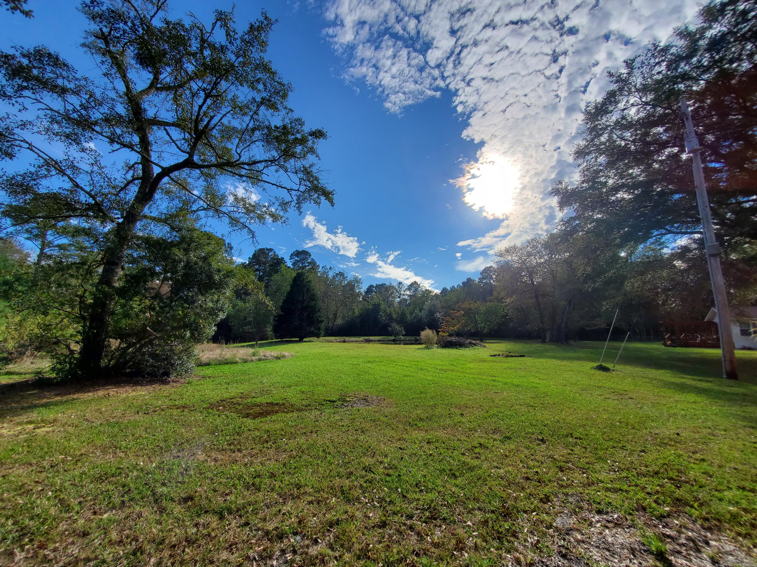 839 Winchester Road Walterboro, SC 29488 - Photo 85 of 88 20201101_150828