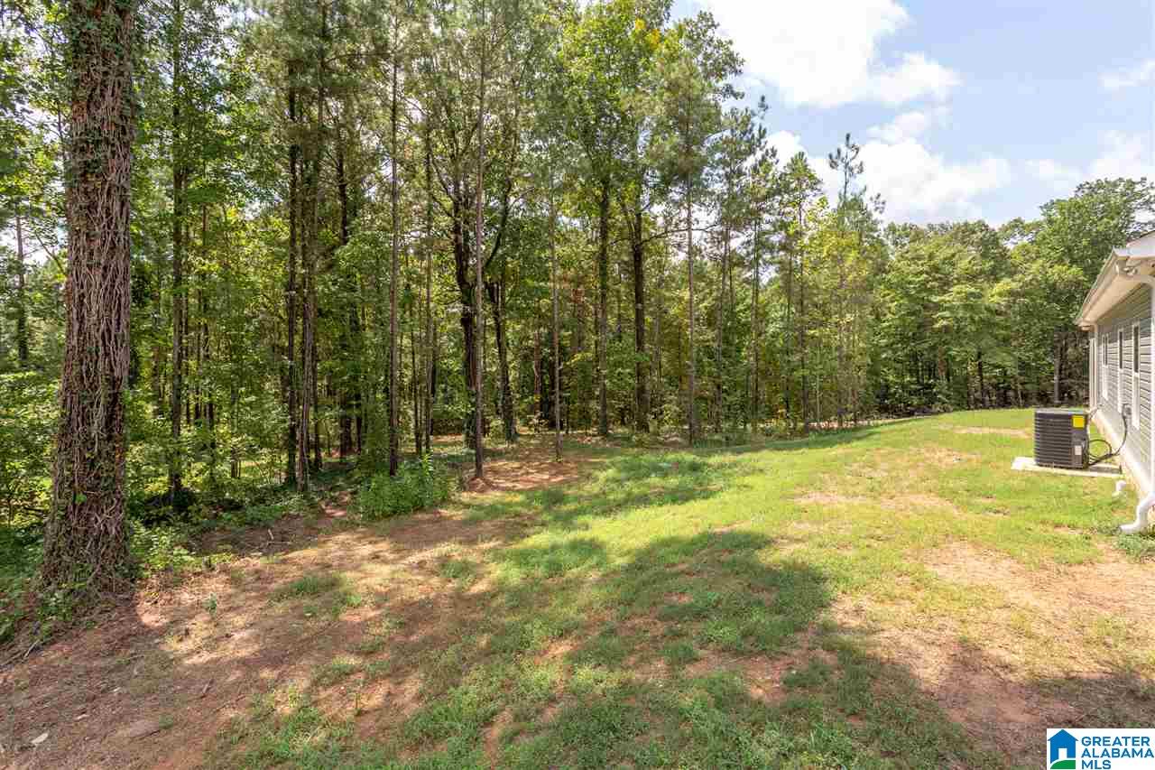 2160 Summit Park Road Odenville, AL 35120 - Photo 37 of 37