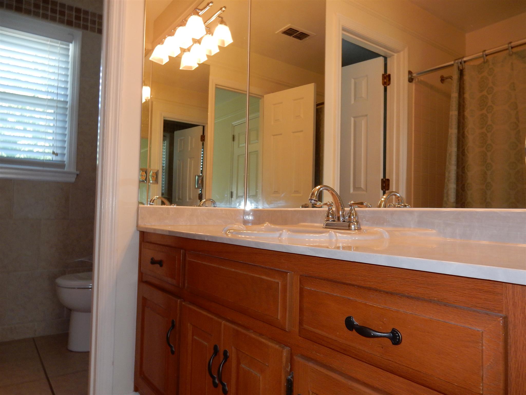 2884 Cages Bend Road Gallatin, TN 37066 - Photo 16 of 26 a bathroom with a double vanity sink and a mirror