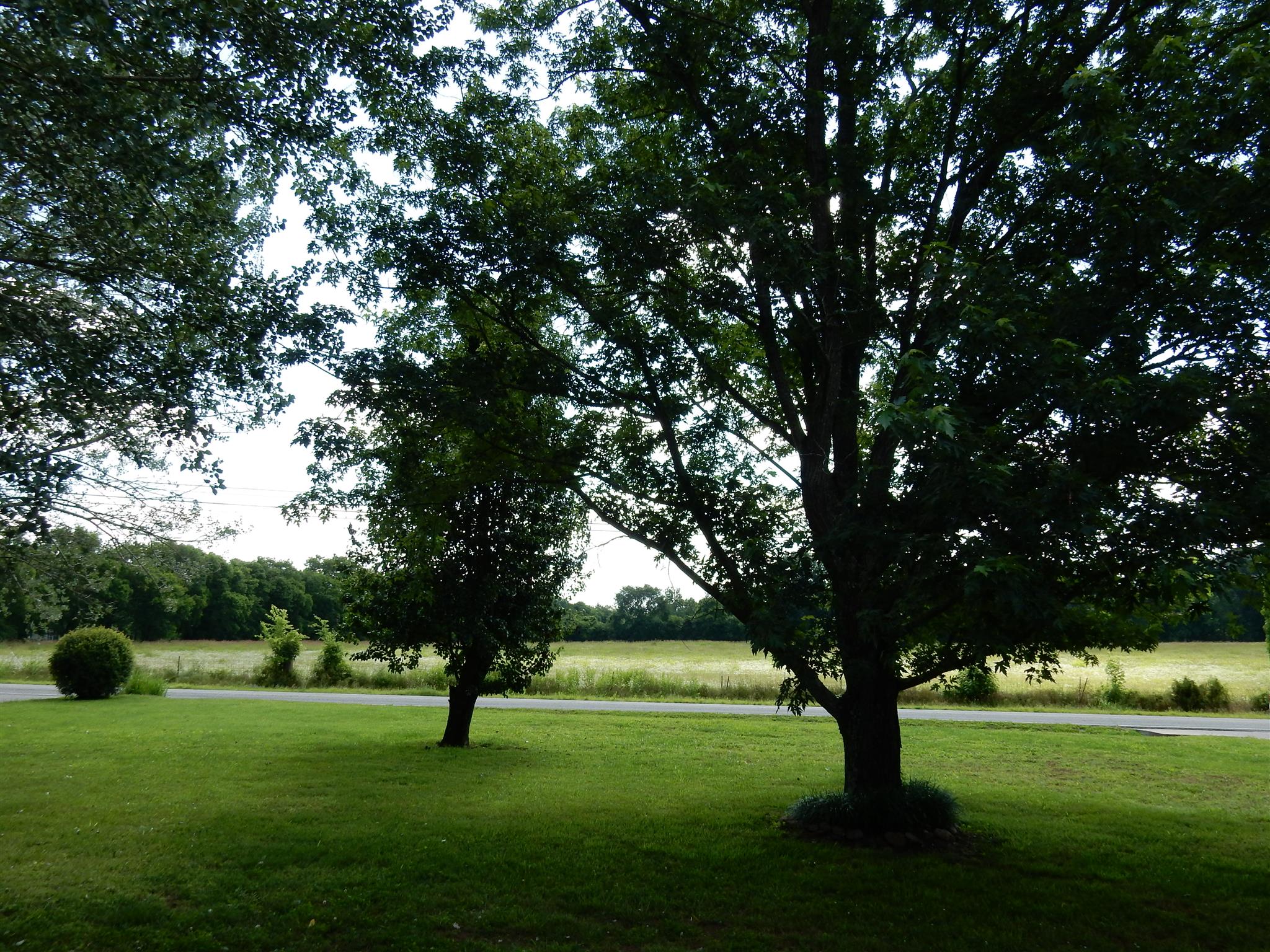2884 Cages Bend Road Gallatin, TN 37066 - Photo 25 of 26 a view of yard with green space