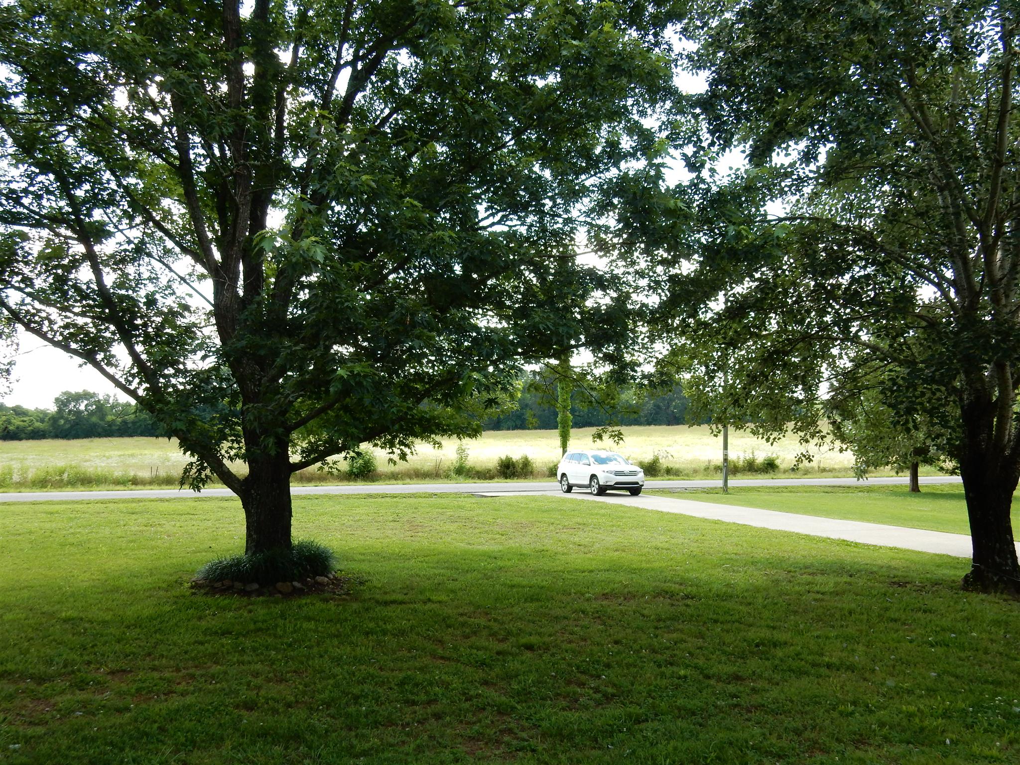 2884 Cages Bend Road Gallatin, TN 37066 - Photo 26 of 26 a huge green field with lots of trees