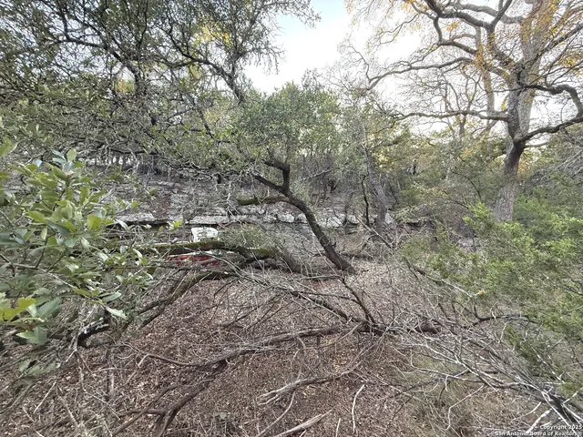 $399,000 | 1310 Springwood Drive, Spring Branch, TX 78070