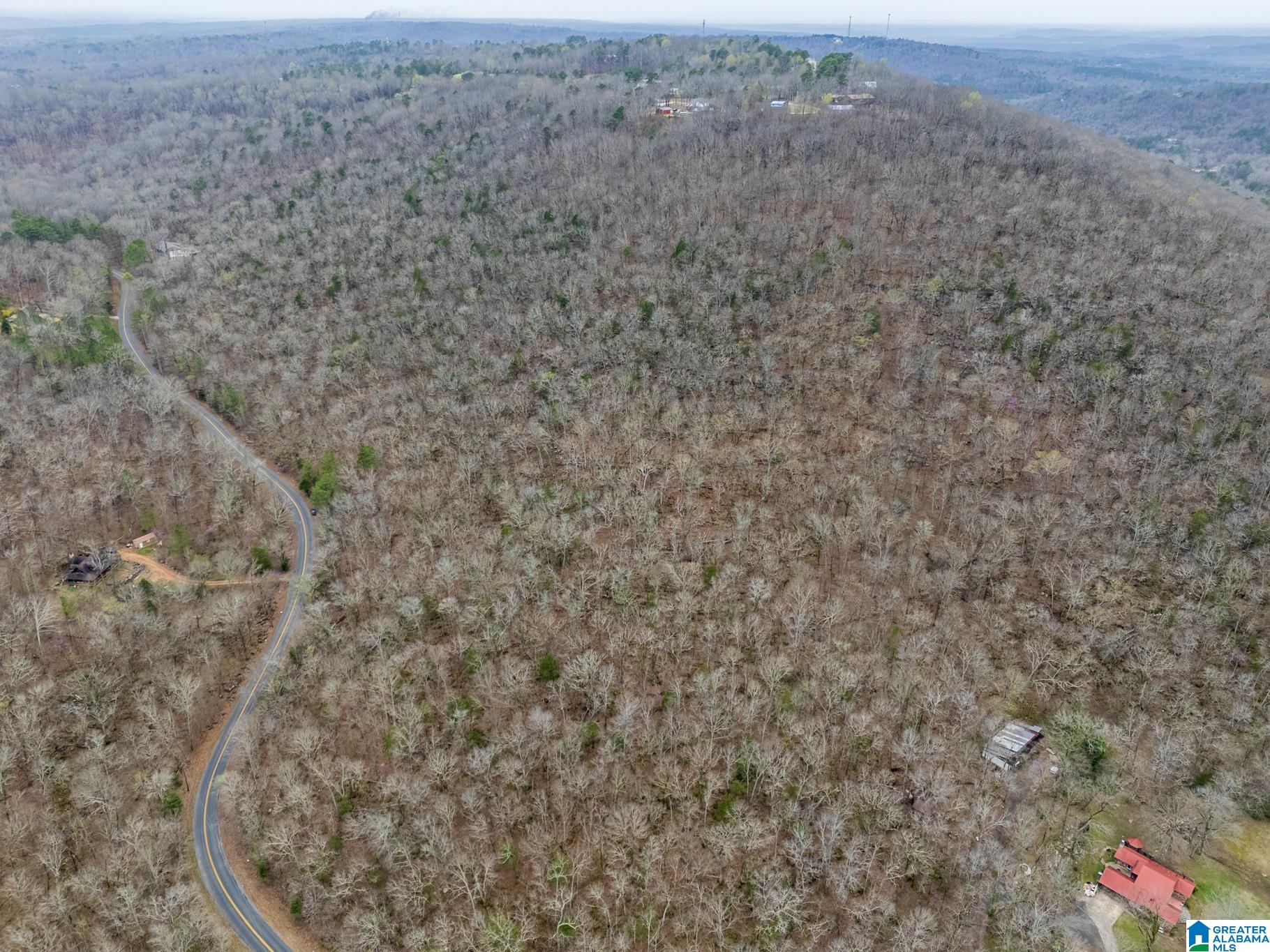0 Valley Trail, Unit 496 Warrior, AL 35180 - Photo 24 of 31