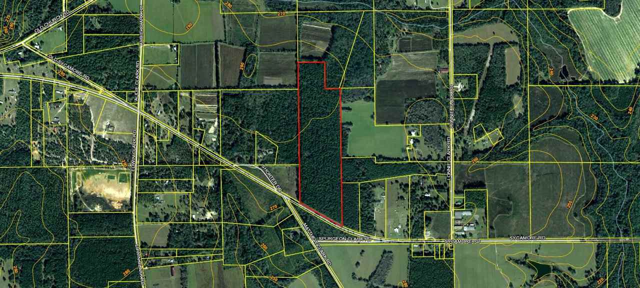 0 Sycamore Road Quincy, FL 32351 - Photo 1 of 1 Gallery Image 1