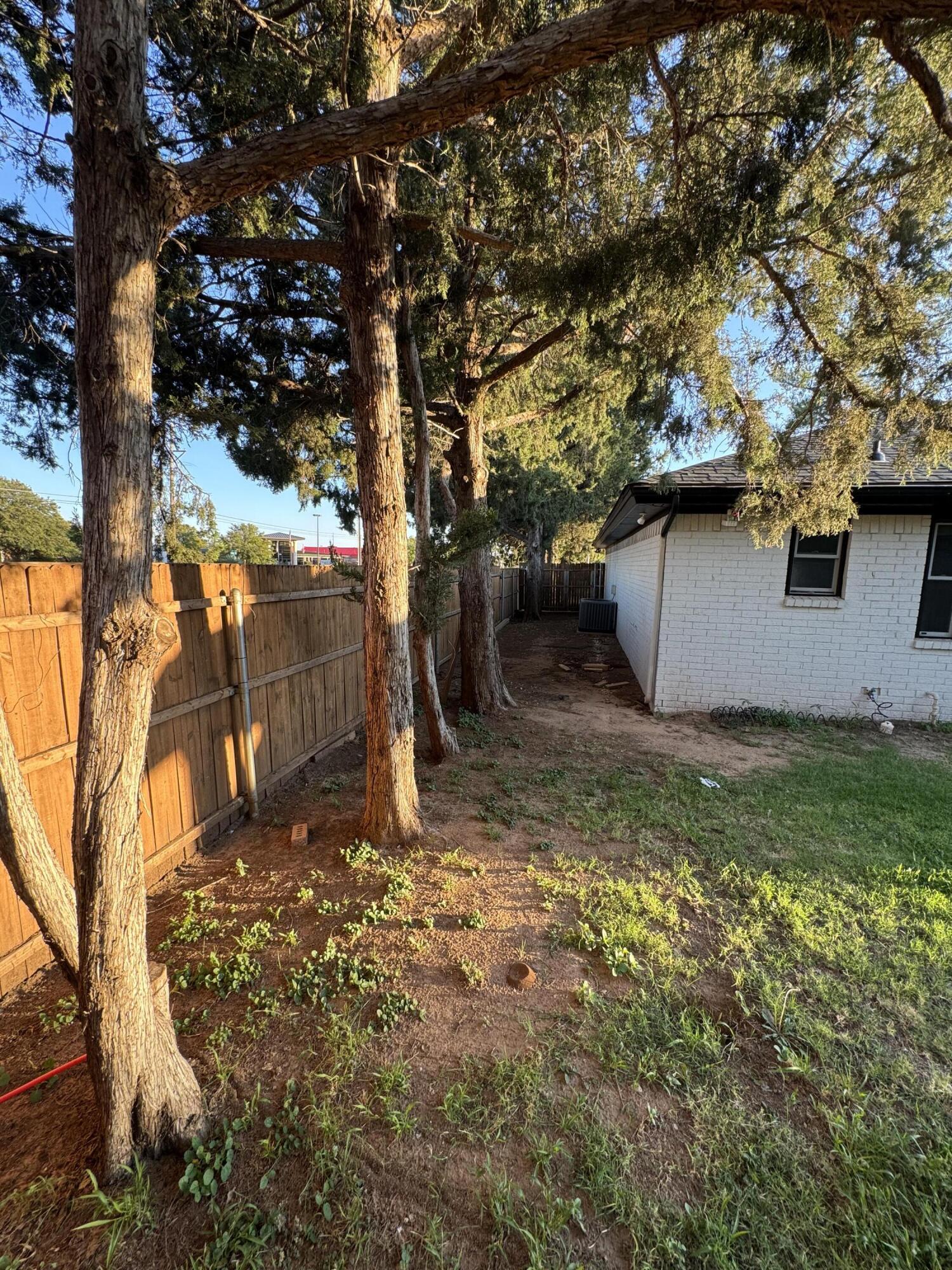 4402 78th Street Lubbock, TX 79424 - Photo 38 of 43 a view of a yard with a tree
