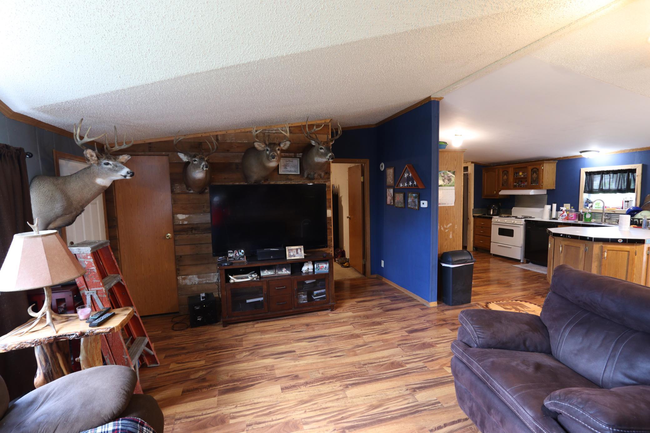 752 Lenmark Lane Badger, MN 56714 - Photo 18 of 42