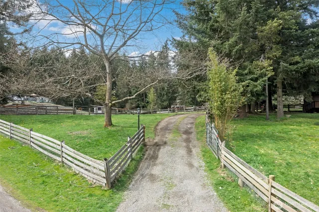 a view of a park with large trees