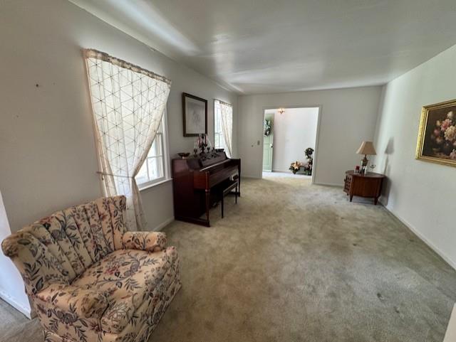 524 Cochran Road Chatsworth, GA 30705 - Photo 13 of 27 Gallery Image 13