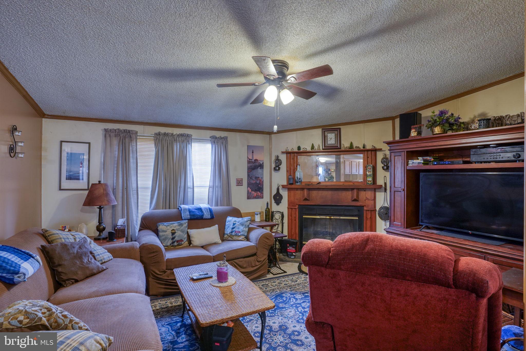 15450 Weigela Drive Georgetown, DE 19947 - Photo 22 of 37 Cozy living room with warm ambiance.