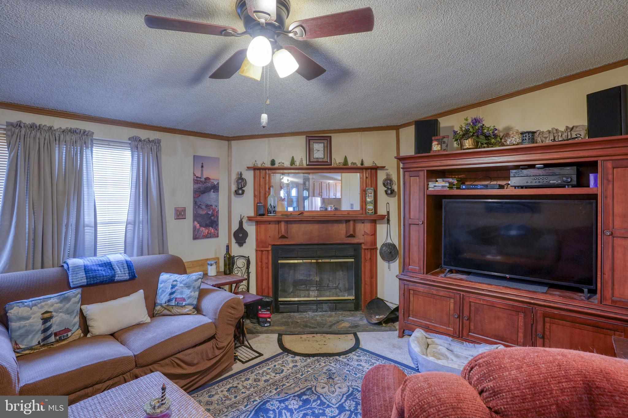15450 Weigela Drive Georgetown, DE 19947 - Photo 23 of 37 Cozy living room with warm ambiance.