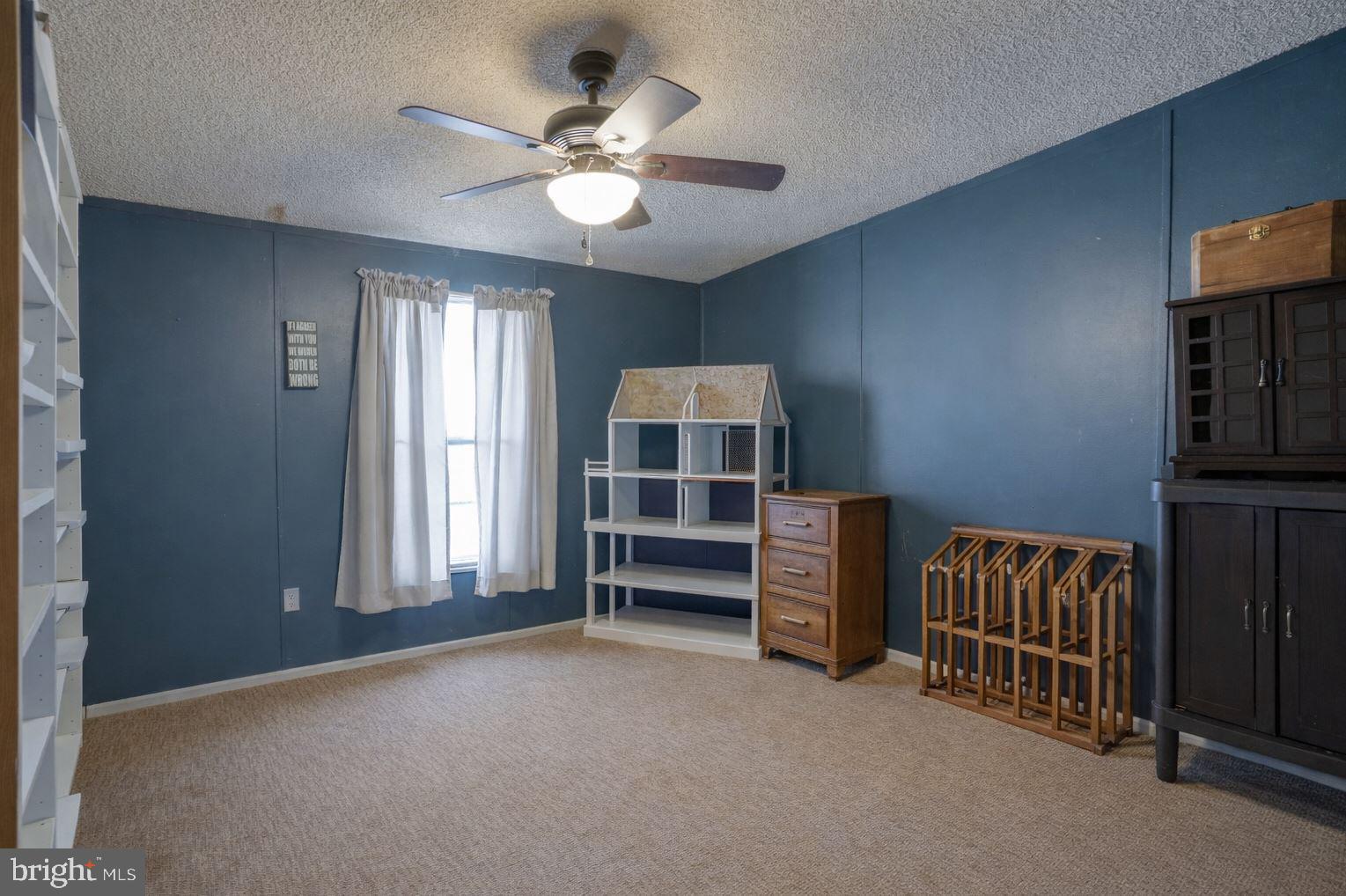 15450 Weigela Drive Georgetown, DE 19947 - Photo 28 of 37 Bright and airy blue-walled retreat.