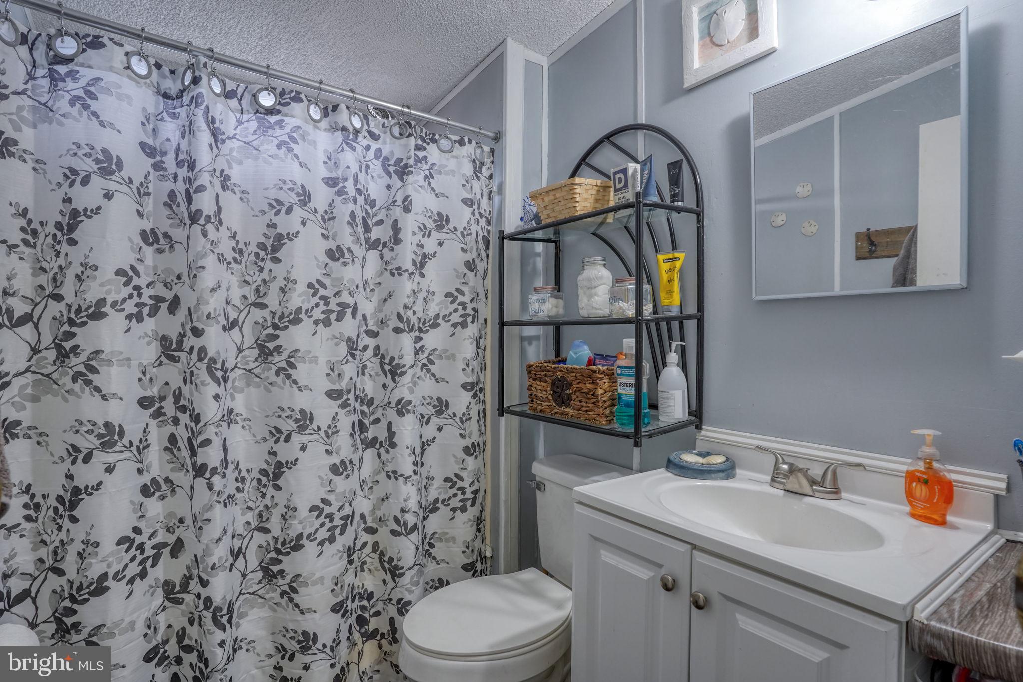 15450 Weigela Drive Georgetown, DE 19947 - Photo 31 of 37 Charming bathroom with floral accents.