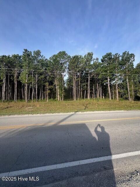1020 Harkers Island Road Beaufort, NC 28516 - Photo 1 of 1 Road View