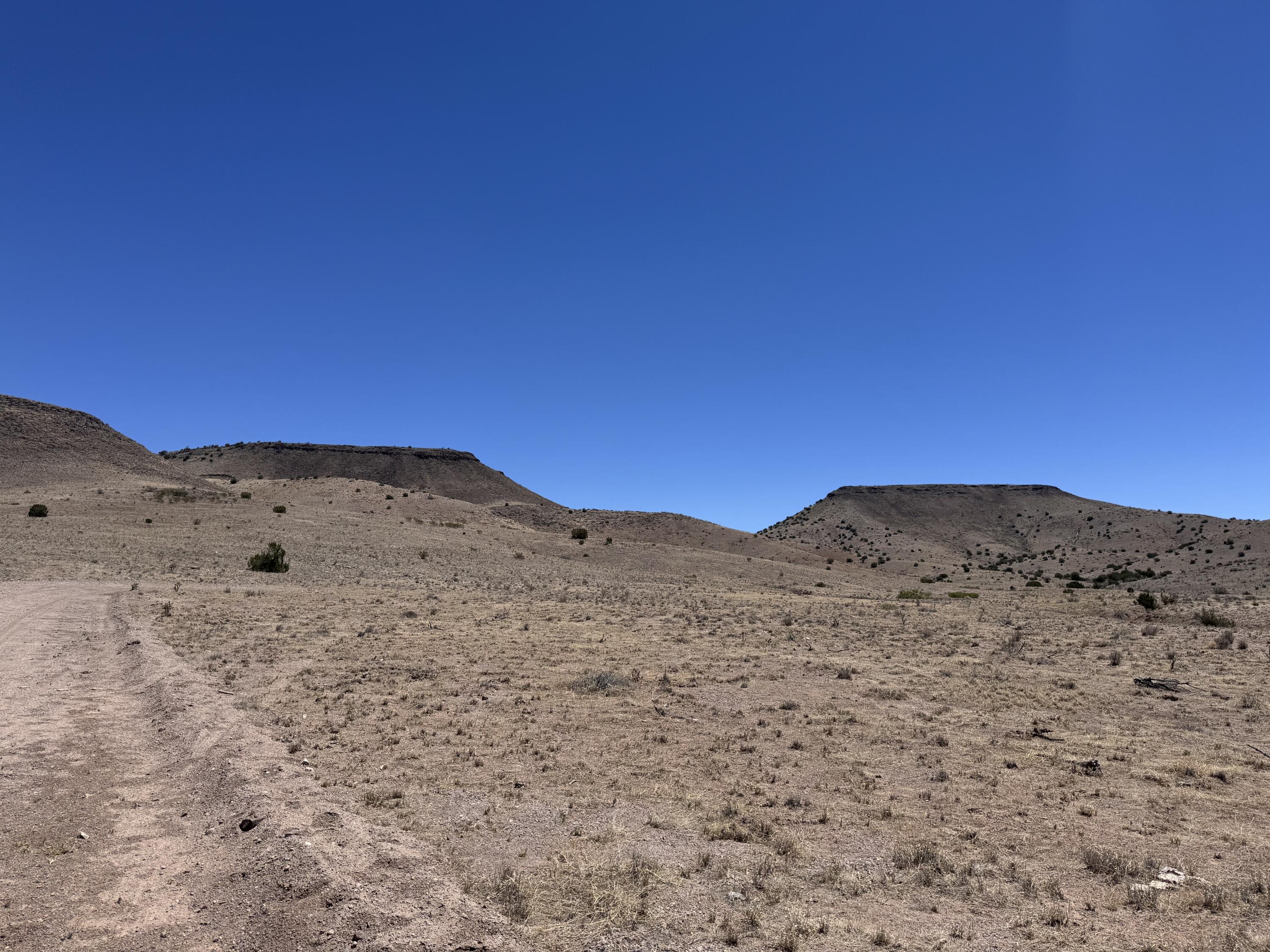 663 Willow Springs Ranch Road Socorro, NM 87801 - Photo 11 of 26 Gallery Image 11