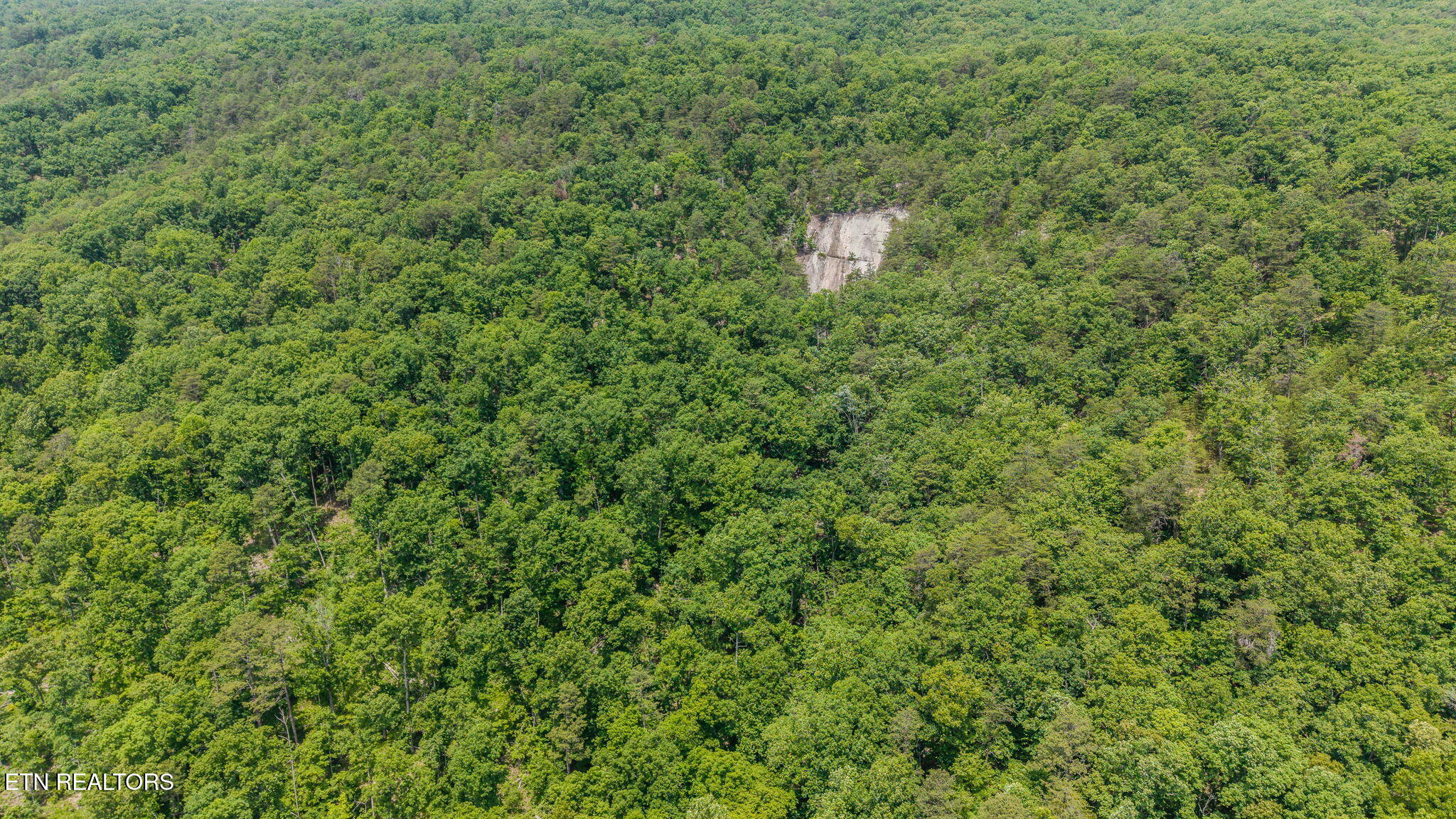 Poor Valley Road Rutledge, TN 37861 - Photo 7 of 9 7-web-or-mls-DJI_20260519123211_0258_D