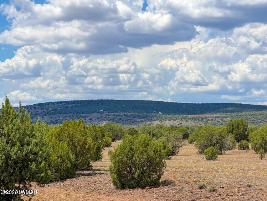 215 Gleed Station Road Ash Fork, AZ 86320 - Photo 11 of 16 Gallery Image 11