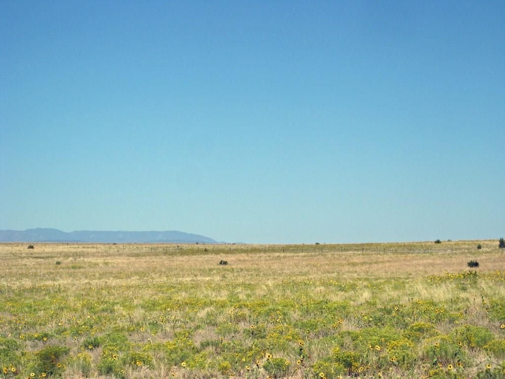 116 Wolfenberger Road Pueblo, CO 81004 - Photo 9 of 21
