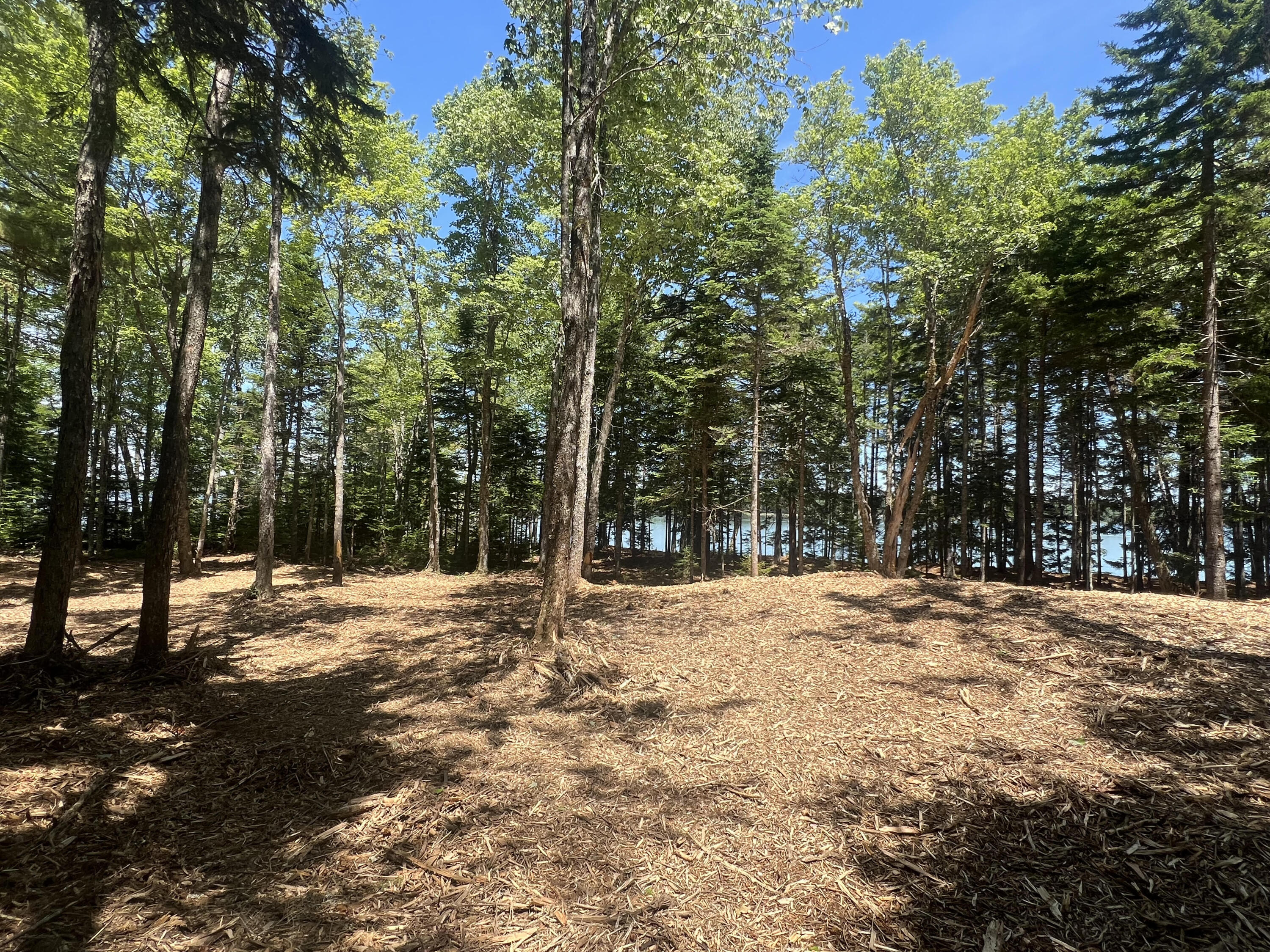 Lot #5 Seal Point Road Lamoine, ME 04605 - Photo 2 of 5 Lot 5 Cleared Building Site