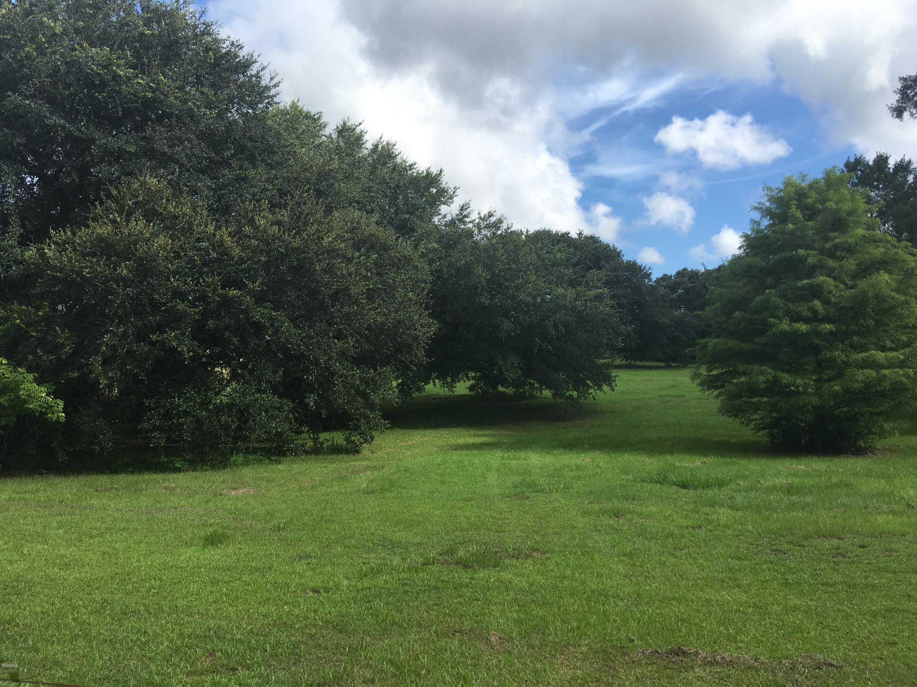 26323 Eddy Road Pass Christian, MS 39571 - Photo 22 of 26 IMG_1384