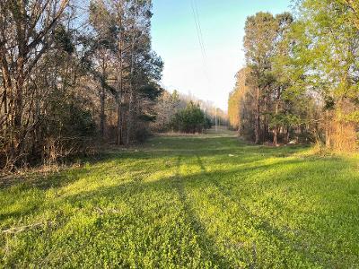 0 Pebble Cove Road Abbeville, AL 36310 - Photo 1 of 5