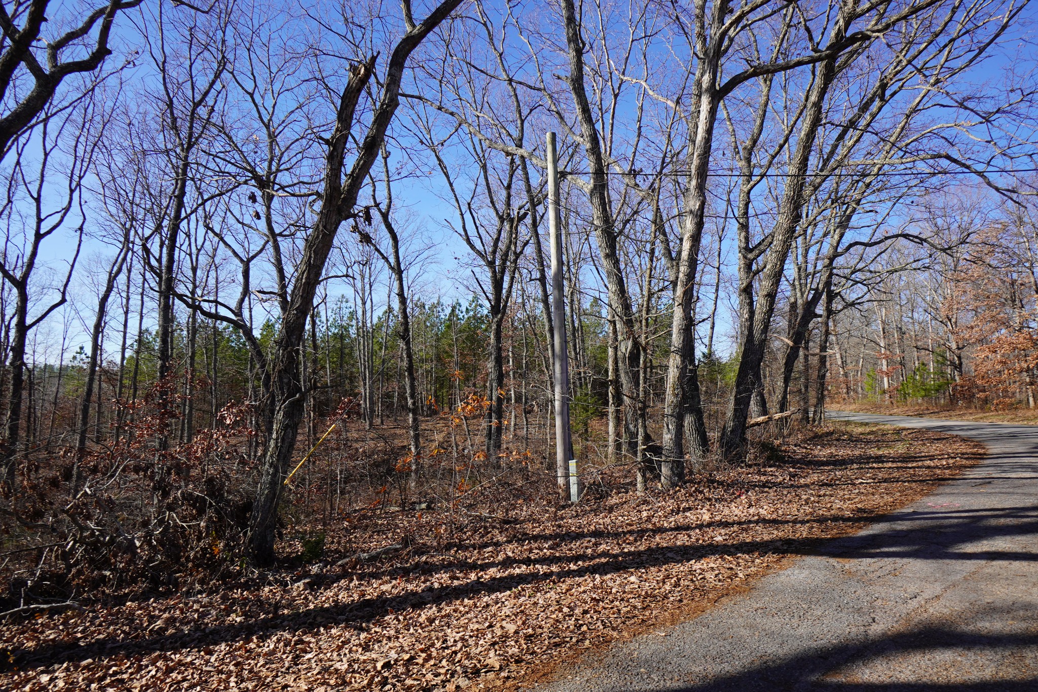7 Cottrell Ridge Road Dover, TN 37058 - Photo 13 of 19 Gallery Image 13