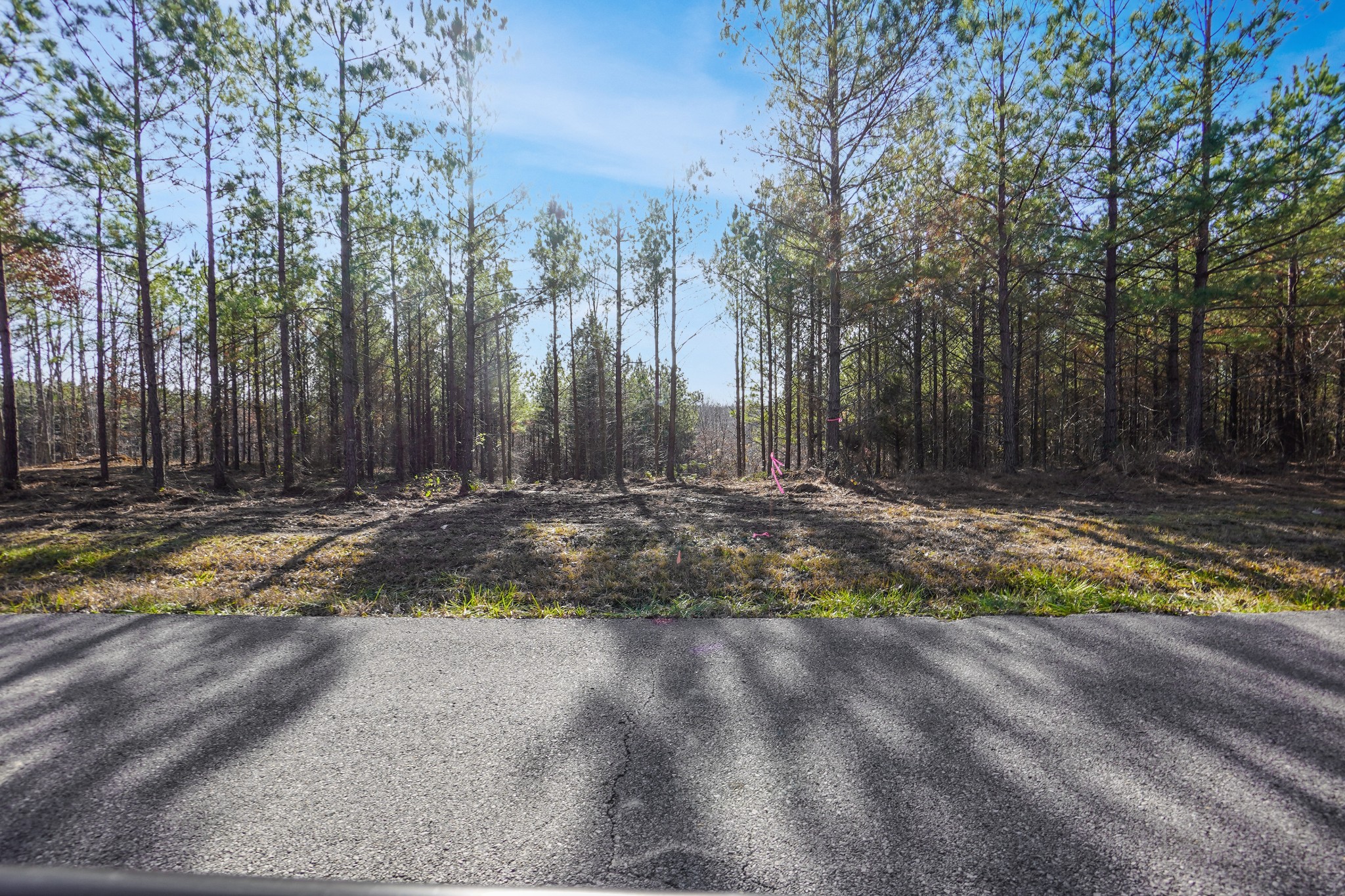 7 Cottrell Ridge Road Dover, TN 37058 - Photo 3 of 19 Gallery Image 3