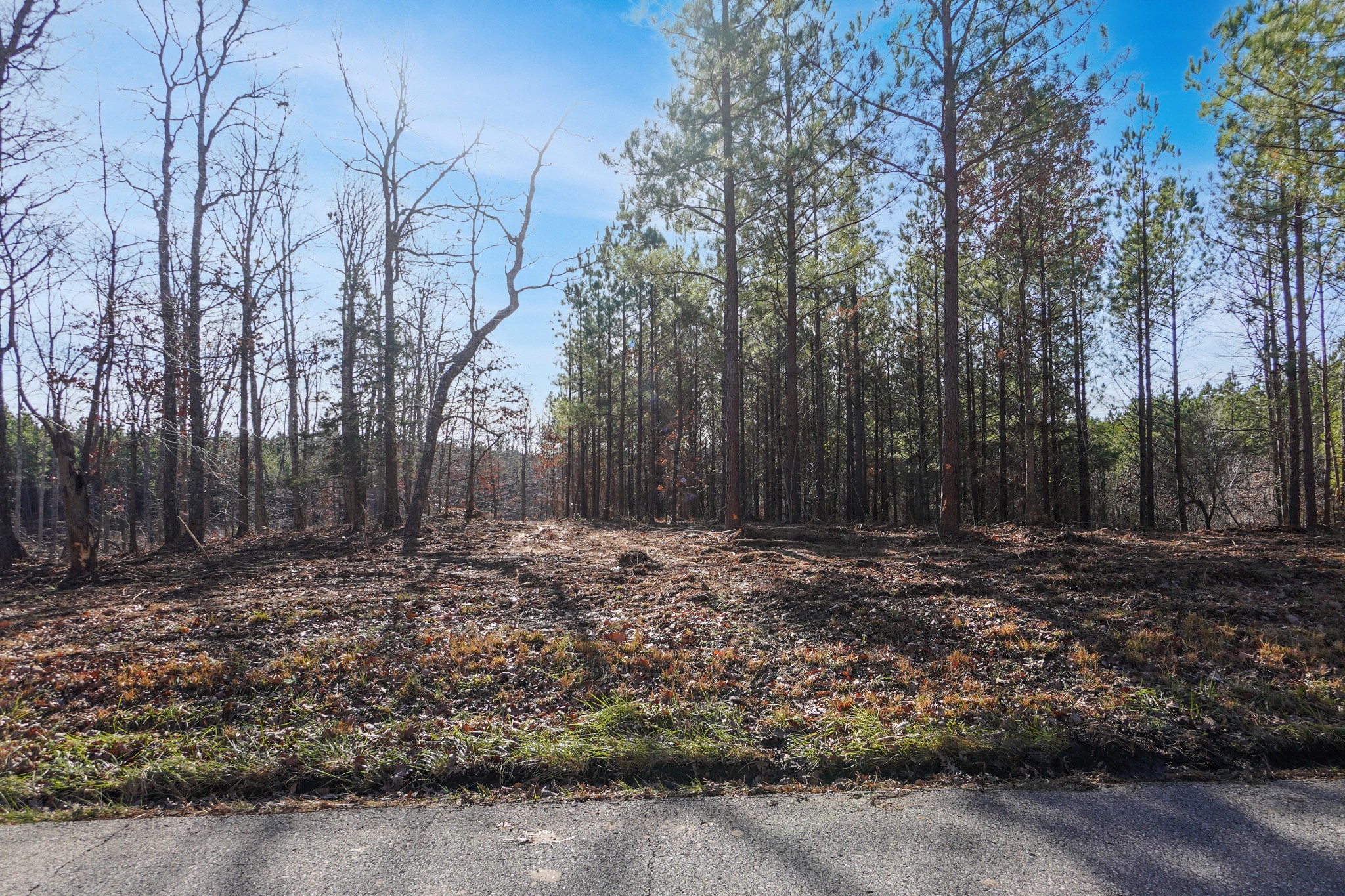 7 Cottrell Ridge Road Dover, TN 37058 - Photo 9 of 19 Gallery Image 9