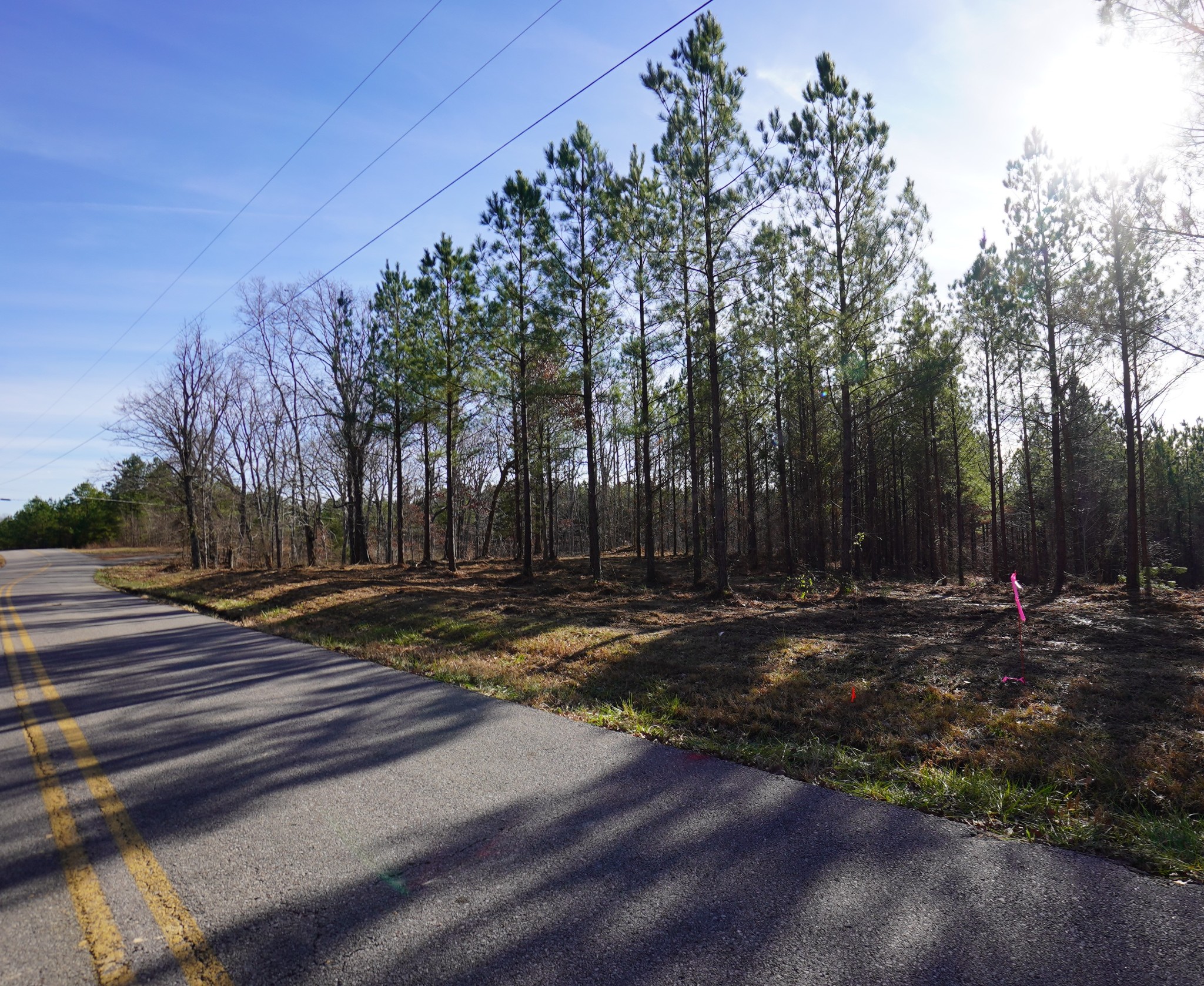 7 Cottrell Ridge Road Dover, TN 37058 - Photo 10 of 19 Gallery Image 10
