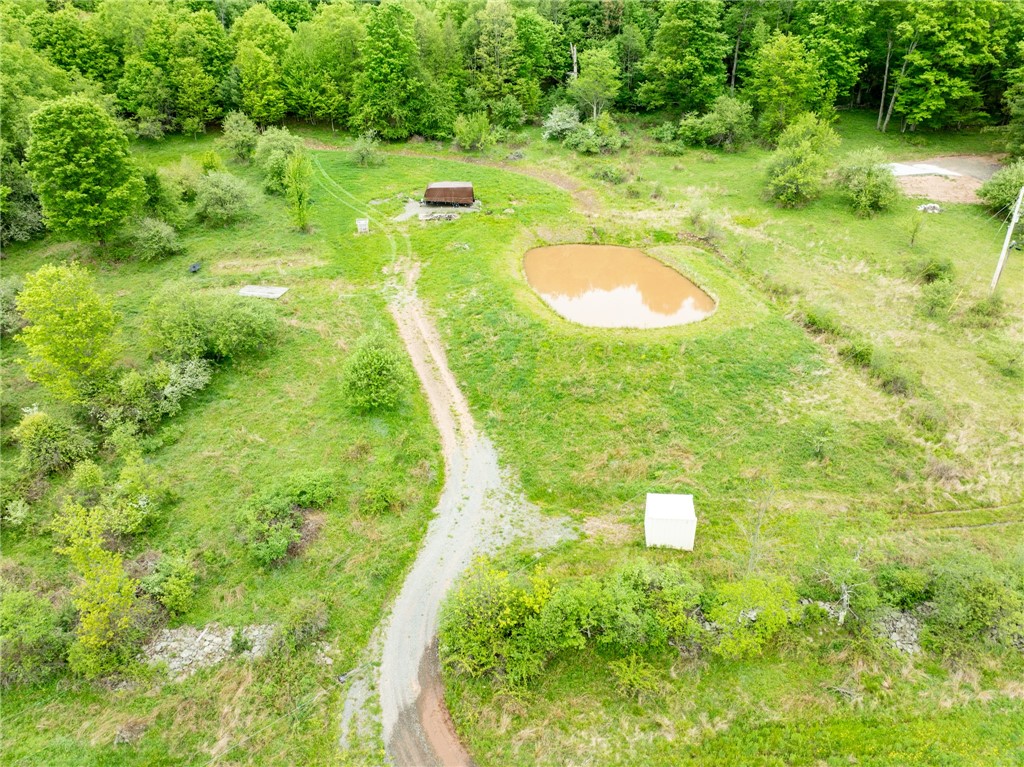 471 Frank Slawson Road Oneonta, NY 13820 - Photo 4 of 22