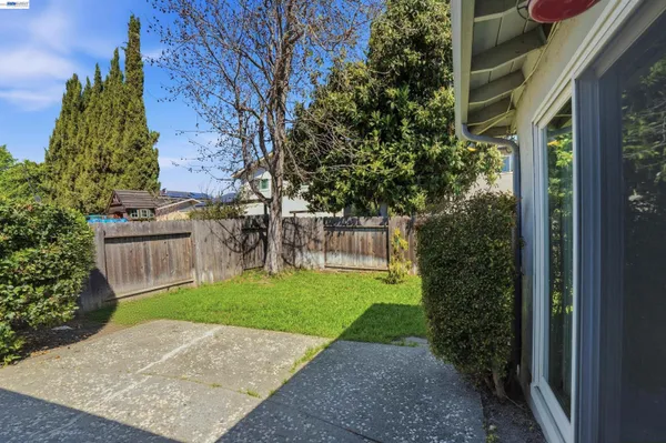 a view of a backyard with plants