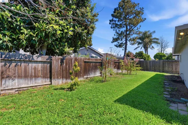 a view of a backyard with wooden fence and a large tree