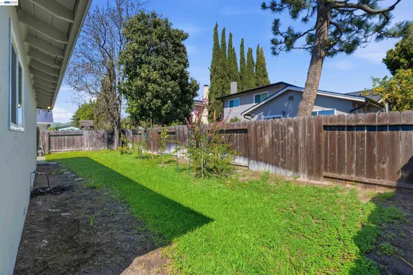 a view of backyard with table and chairs and a large tree