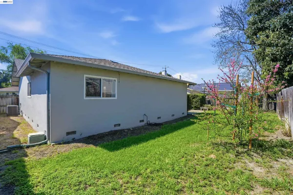 a backyard of a house with plants and large tree