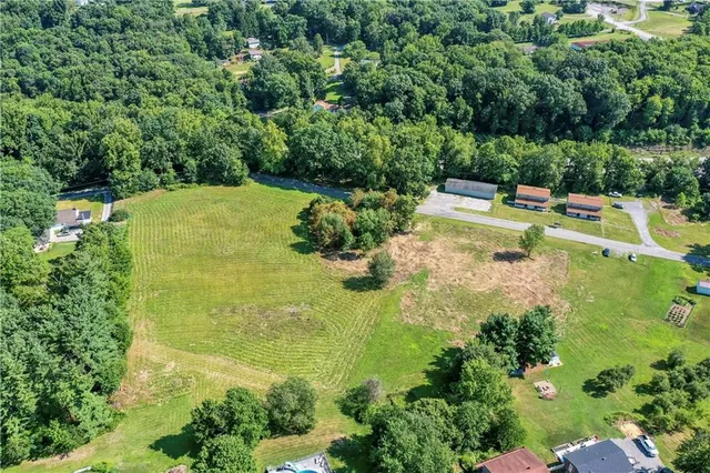 an aerial view of a trees